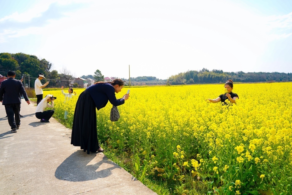 江西抚州：“一朵花”激活“全域美”(图3)