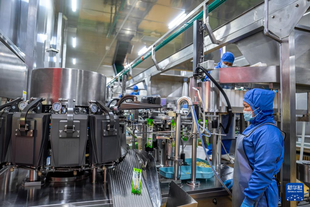 云南盐津： 小竹子做成大产业(图4)