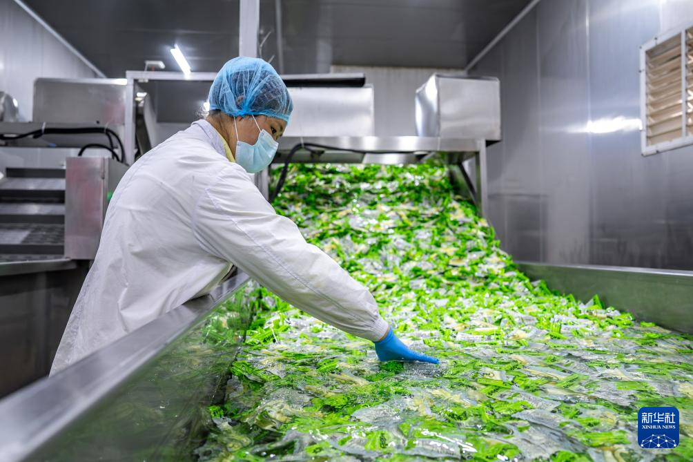 云南盐津： 小竹子做成大产业(图5)