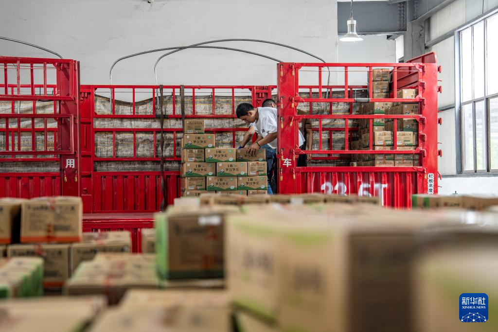 云南盐津： 小竹子做成大产业(图8)