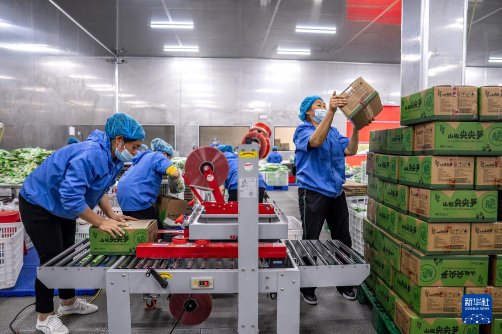 云南盐津： 小竹子做成大产业(图7)