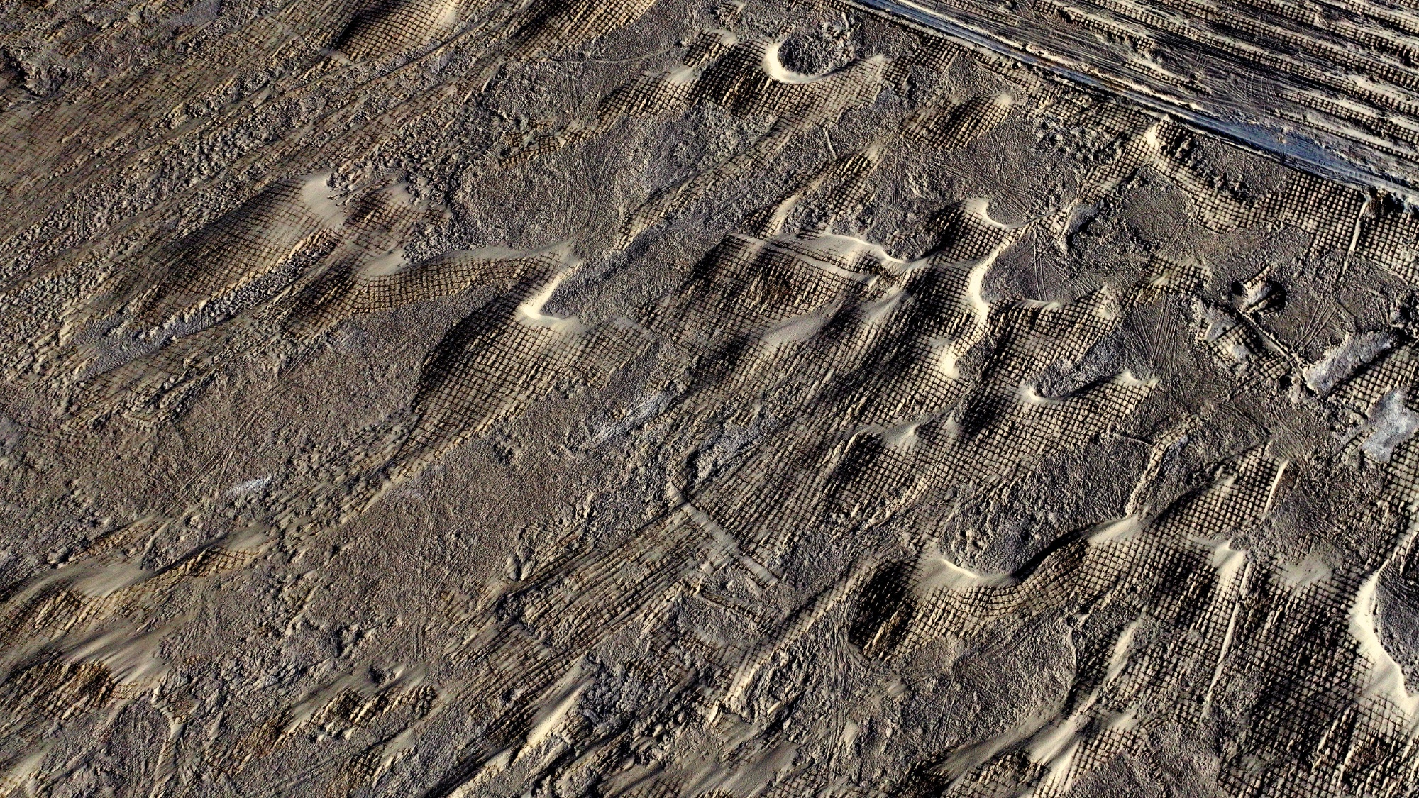 “小枸杞”撬动“大生态”！若羌沙海播下防沙与振兴的双重希望(图6)