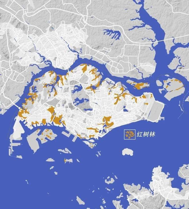 新加坡越变越大了！再次填海60年从581平方公里到728平方公里(图8)