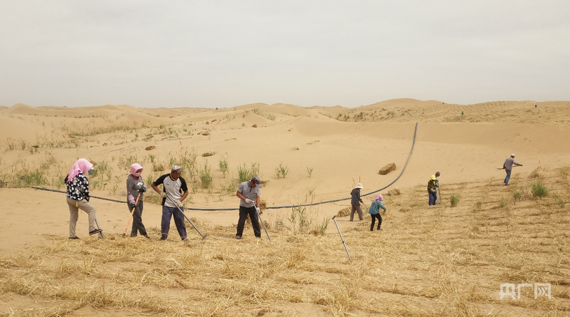 高质量发展看中国｜一场生态与民生的双赢革命(图3)