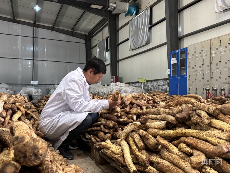 高质量发展看中国｜一场生态与民生的双赢革命(图6)