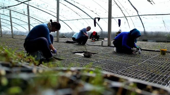 高考地理中的沙漠锁边热点地理考点！(图11)