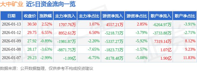 大中矿业（001203）1月13日主力资金净买入170776万元