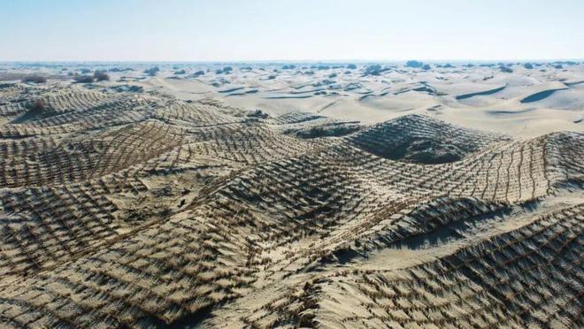 新疆沙漠里编“金格子”——看墨玉如何将芦苇变成治沙“利器”与富民“金钥匙”(图6)