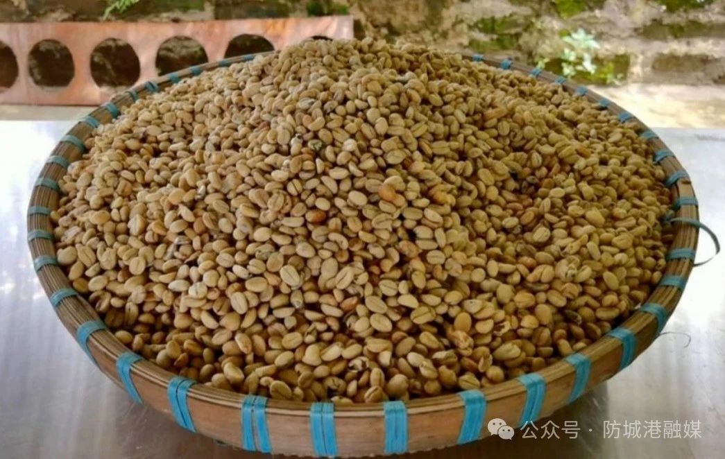 好消息！东兴咖啡入选2025年第一批全国名特优新农产品名录(图2)