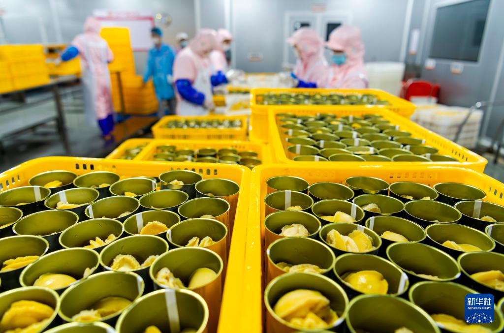 稳外贸 福建莆田鲍鱼“出海”忙(图3) 稳外贸 福建莆田鲍鱼“出海”忙(图3)