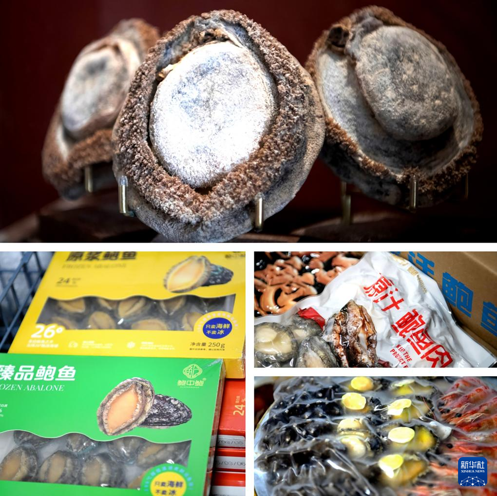 稳外贸 福建莆田鲍鱼“出海”忙(图2) 稳外贸 福建莆田鲍鱼“出海”忙(图2)
