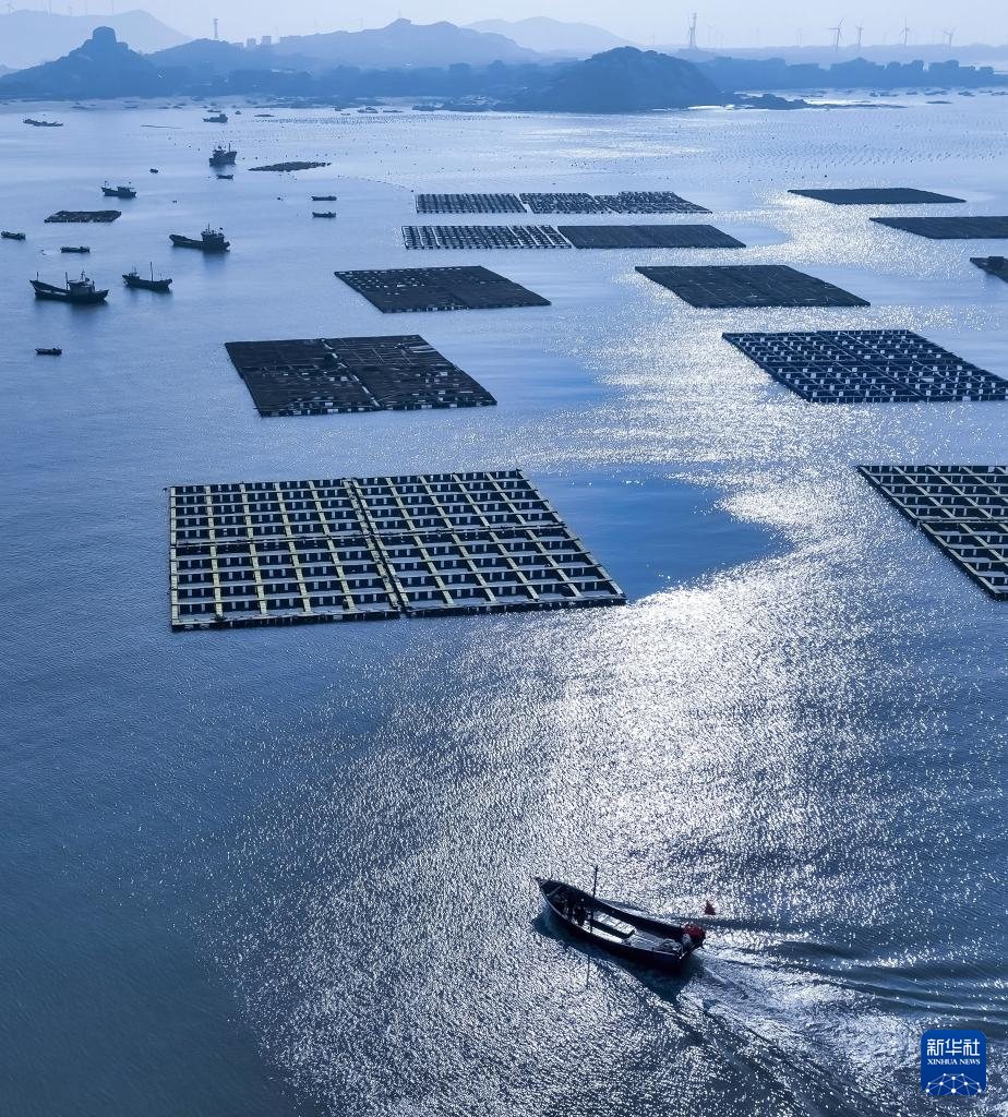 稳外贸 福建莆田鲍鱼“出海”忙(图9) 稳外贸 福建莆田鲍鱼“出海”忙(图9)